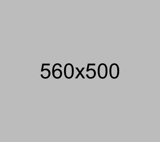 Banner 1